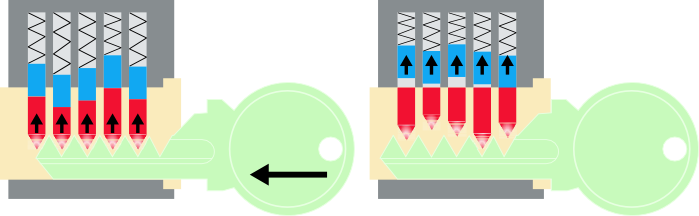 The bump key lifts the pins and counter-pins, aligning them for a fraction of a second.